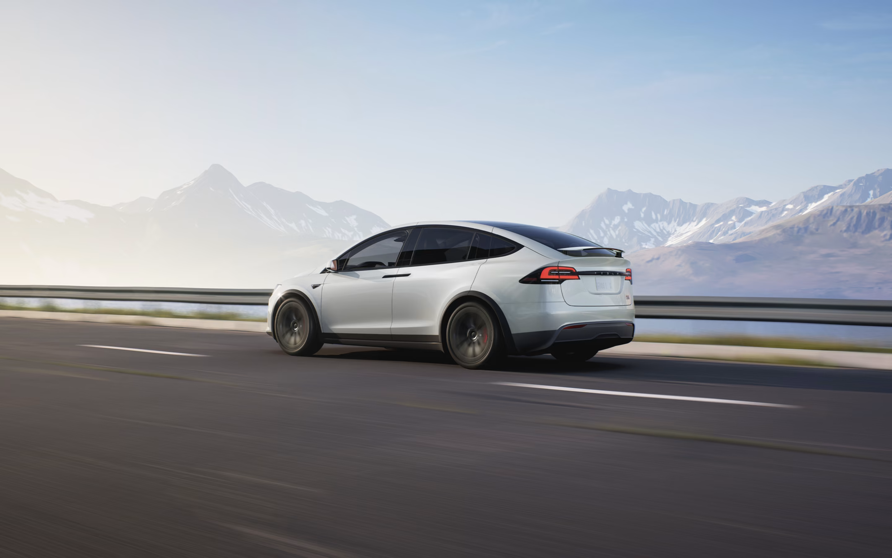 Model X